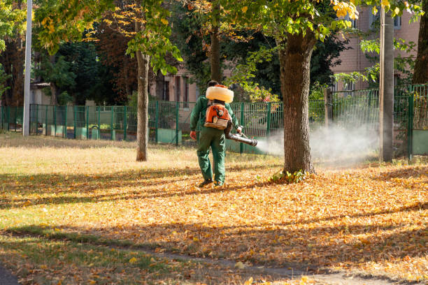 Best Pest Prevention Services  in Wadsworth, OH