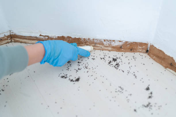 Best Residential Pest Control  in Wadsworth, OH